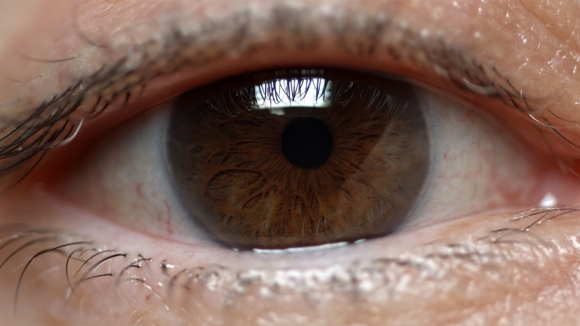 DAVID SZASZ CINEMATOGRAPHY REEL